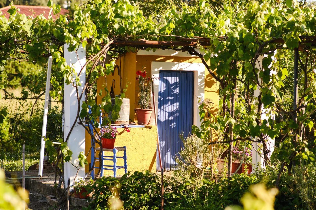 Villa Doreta Roda  Exterior photo