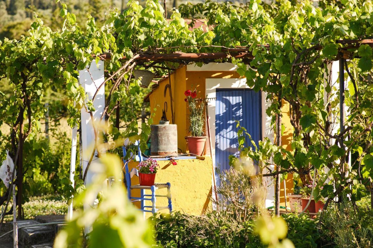 Villa Doreta Roda  Exterior photo